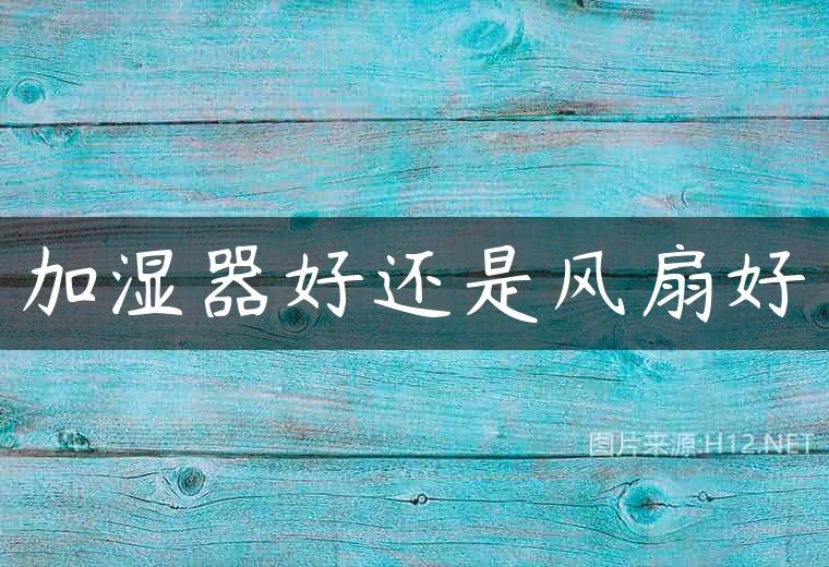 加湿器好还是风扇好