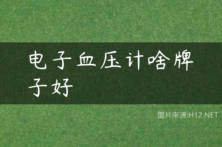 电子血压计啥牌子好