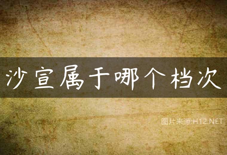 沙宣属于哪个档次