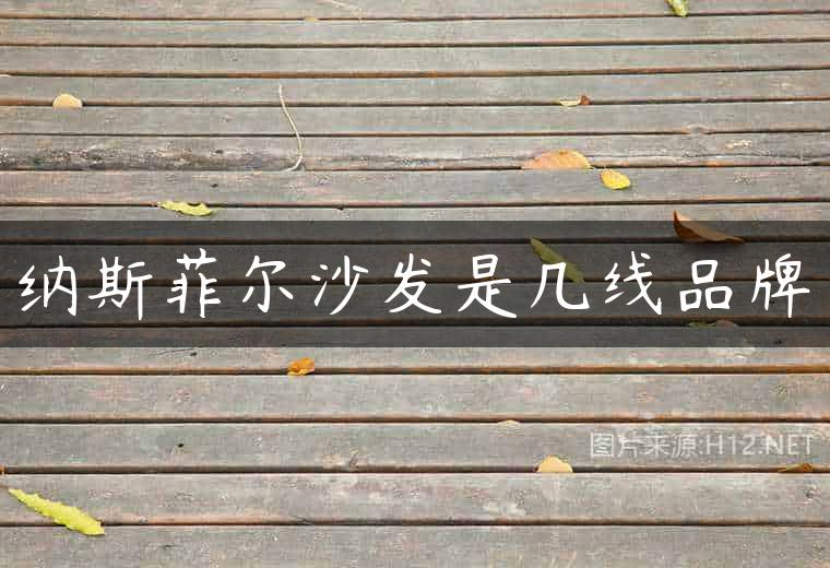 纳斯菲尔沙发是几线品牌