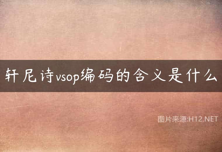 轩尼诗vsop编码的含义是什么