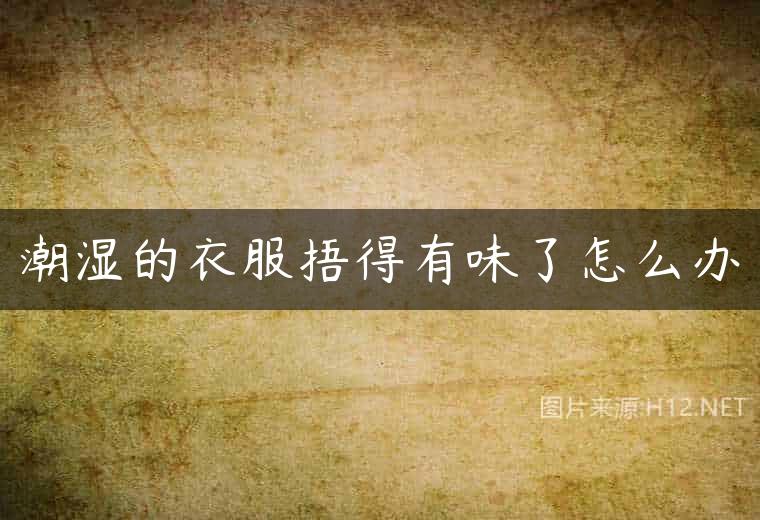 潮湿的衣服捂得有味了怎么办