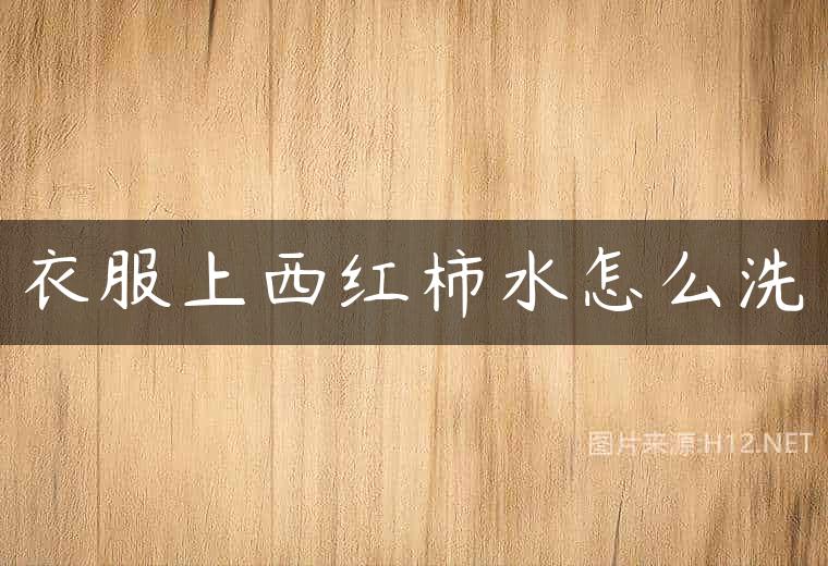 衣服上西红柿水怎么洗