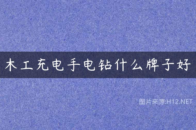 木工充电手电钻什么牌子好