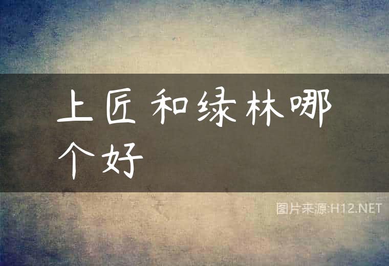 上匠和绿林哪个好