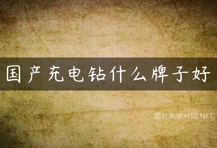 国产充电钻什么牌子好