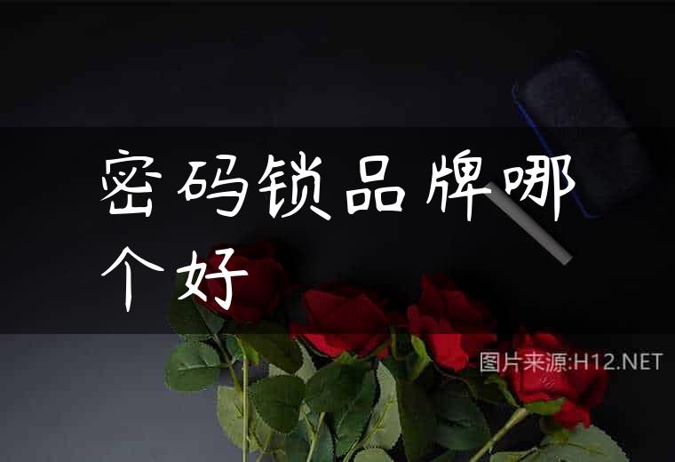 密码锁品牌哪个好