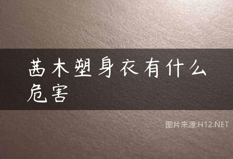 茜木塑身衣有什么危害