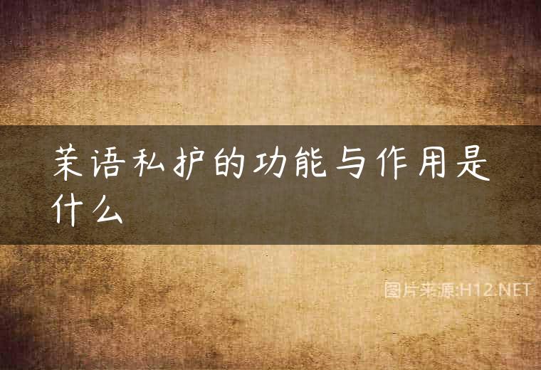 茉语私护的功能与作用是什么