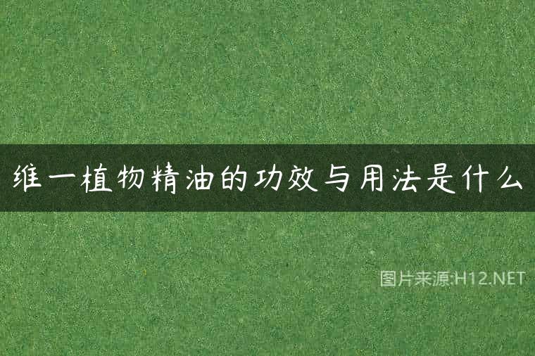 维一植物精油的功效与用法是什么