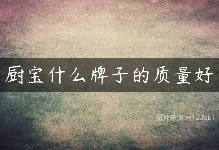厨宝什么牌子的质量好