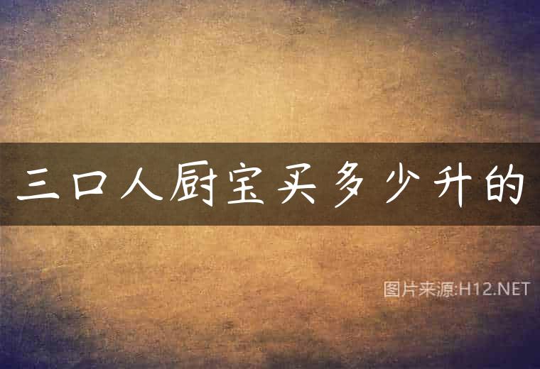 三口人厨宝买多少升的