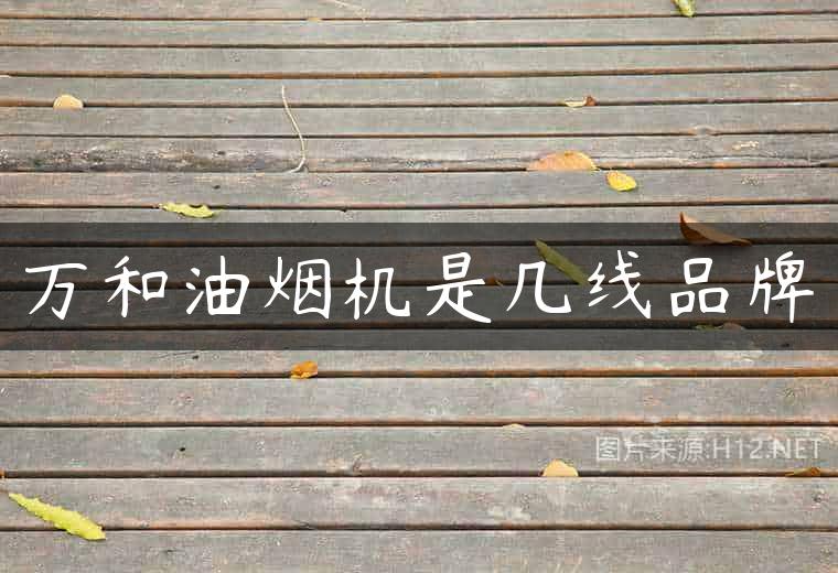 万和油烟机是几线品牌