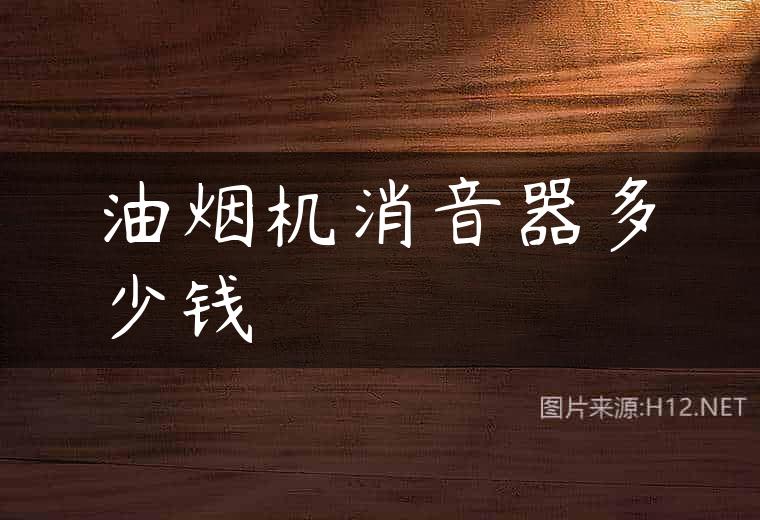 油烟机消音器多少钱
