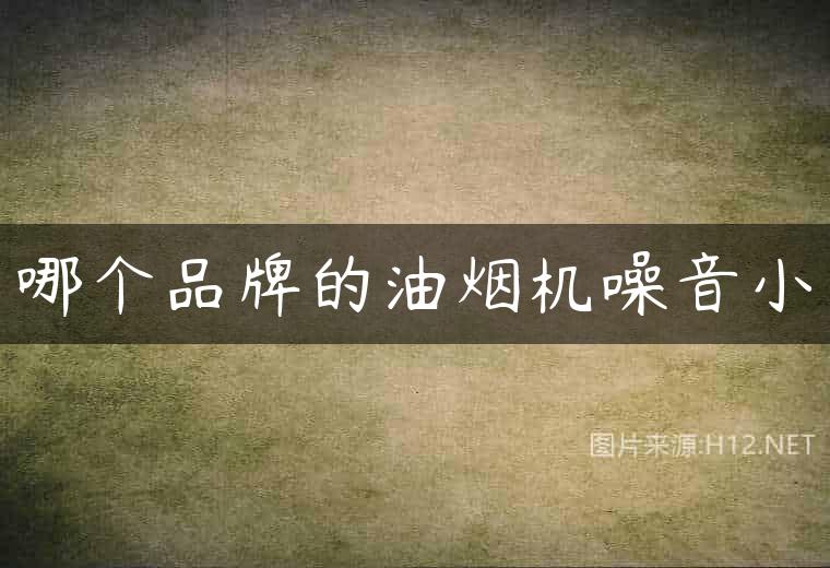 哪个品牌的油烟机噪音小
