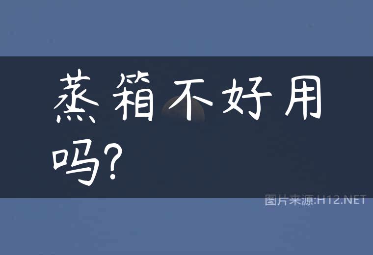 蒸箱不好用吗?
