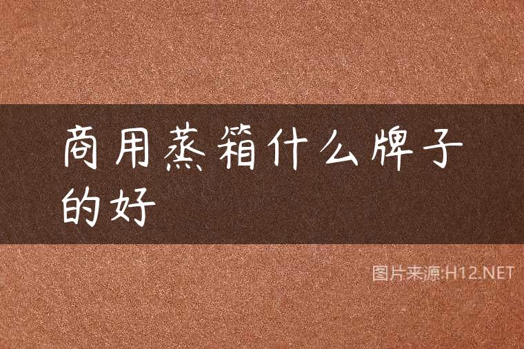 商用蒸箱什么牌子的好