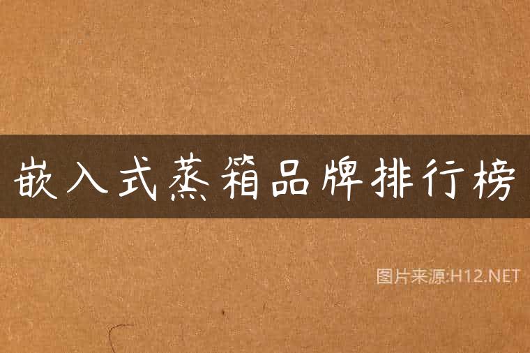 嵌入式蒸箱品牌排行榜