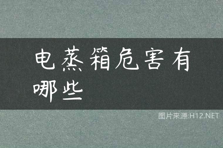 电蒸箱危害有哪些