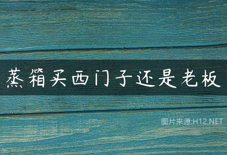 蒸箱买西门子还是老板