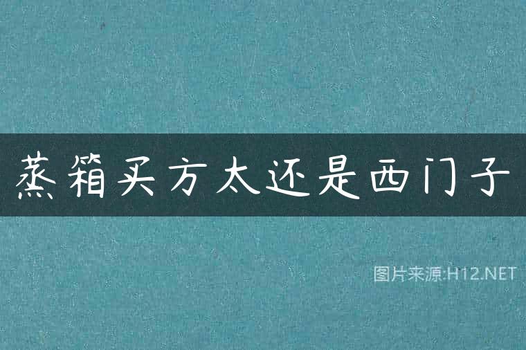 蒸箱买方太还是西门子