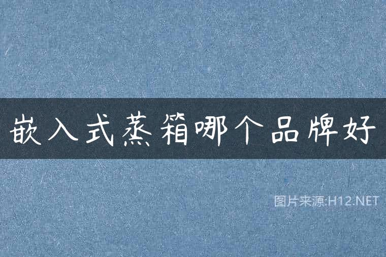 嵌入式蒸箱哪个品牌好