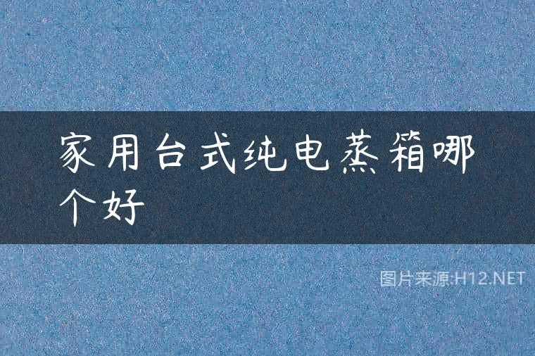 家用台式纯电蒸箱哪个好