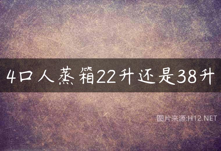 4口人蒸箱22升还是38升