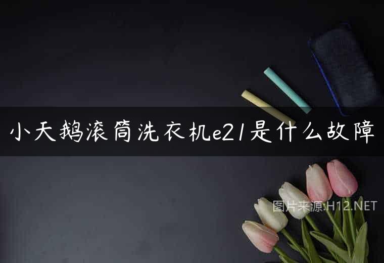小天鹅滚筒洗衣机e21是什么故障