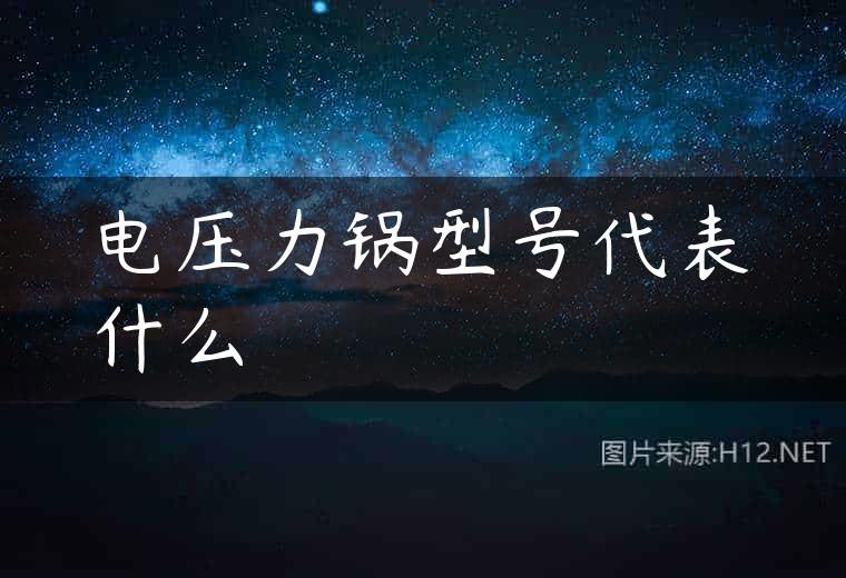 电压力锅型号代表什么
