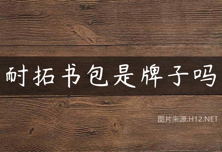 耐拓书包是牌子吗