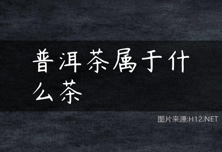 普洱茶属于什么茶