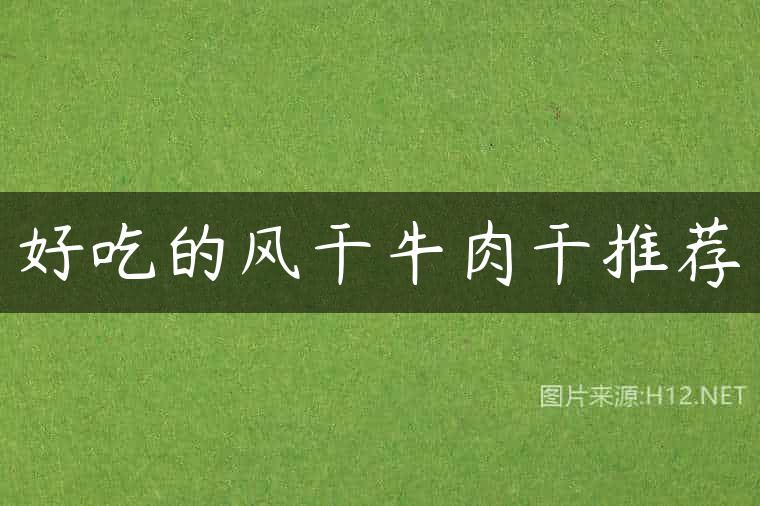 好吃的风干牛肉干推荐