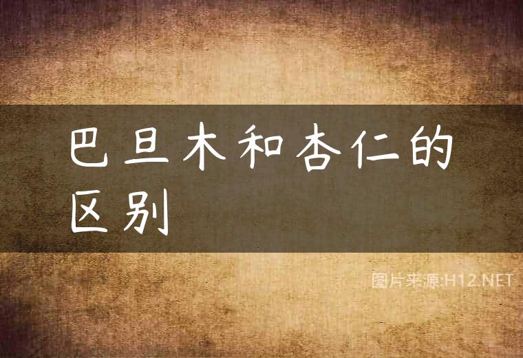 巴旦木和杏仁的区别
