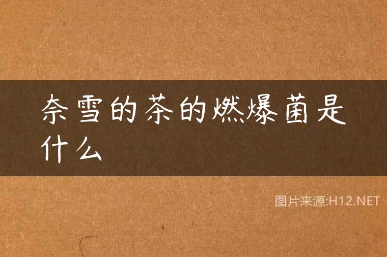 奈雪的茶的燃爆菌是什么