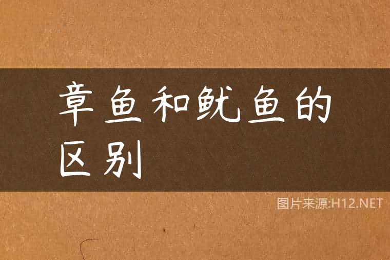 章鱼和鱿鱼的区别