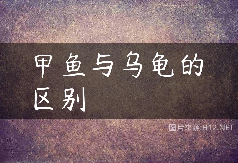 甲鱼与乌龟的区别
