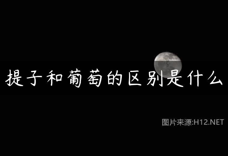 提子和葡萄的区别是什么