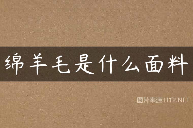 绵羊毛是什么面料