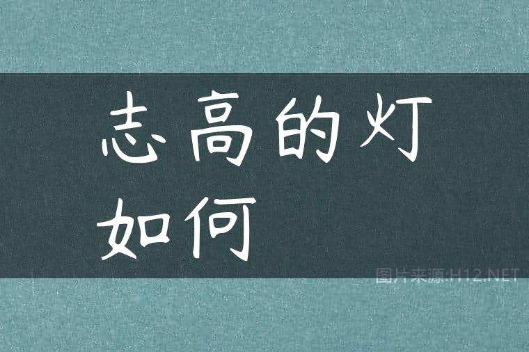 志高的灯如何