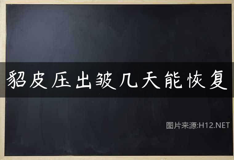 貂皮压出皱几天能恢复