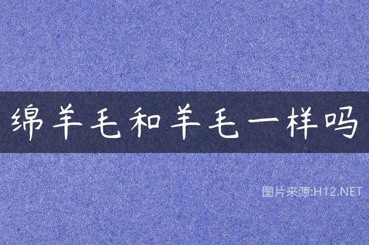 绵羊毛和羊毛一样吗