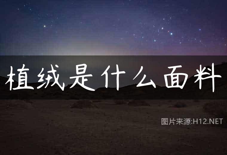 植绒是什么面料