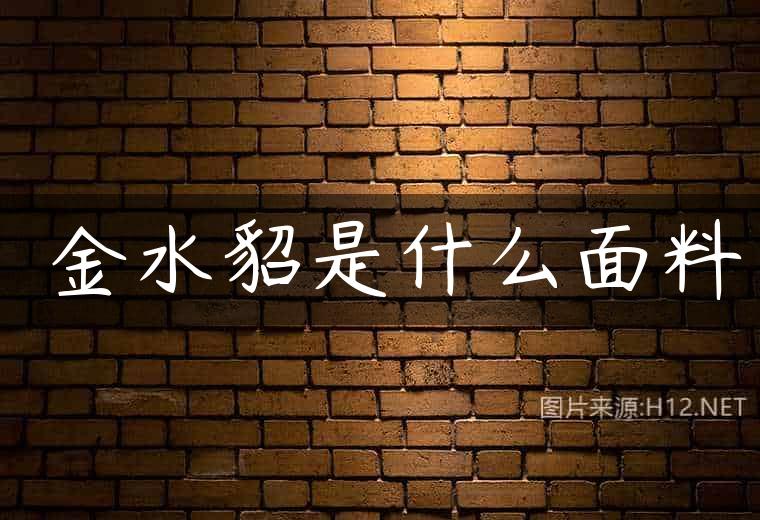 ​金水貂是什么面料