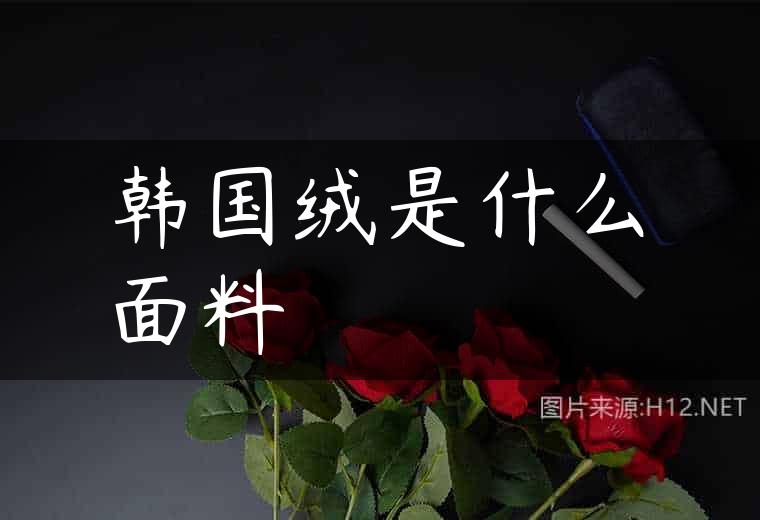 韩国绒是什么面料