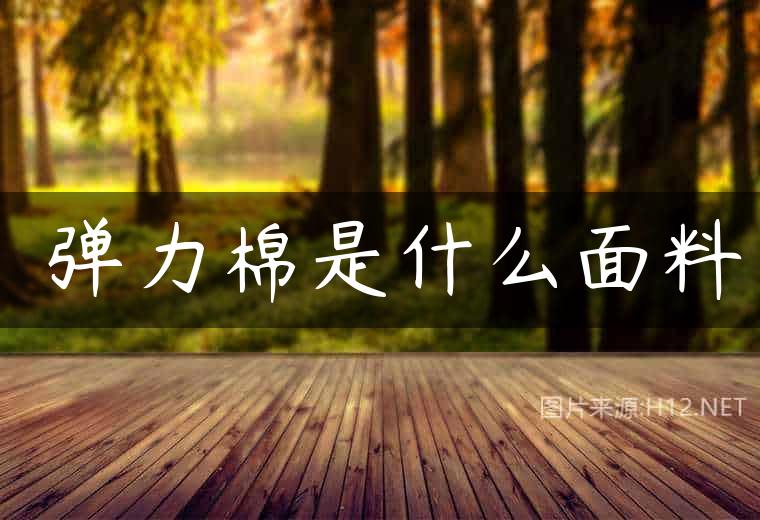 ​弹力棉是什么面料