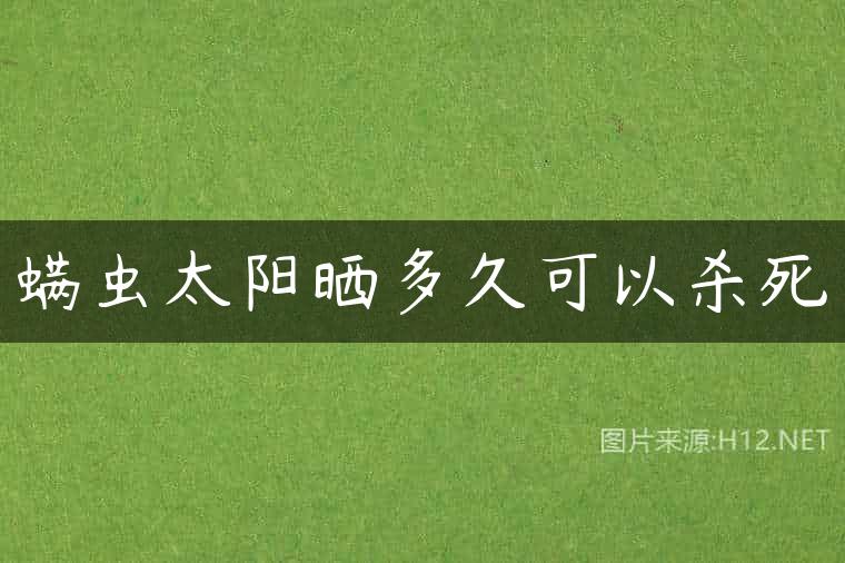 螨虫太阳晒多久可以杀死