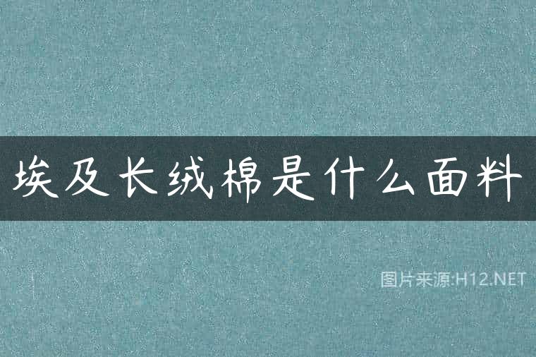 埃及长绒棉是什么面料