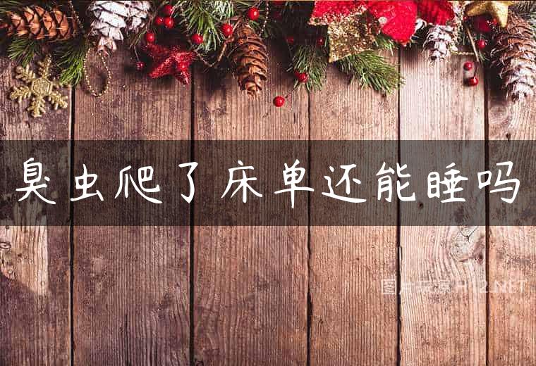 臭虫爬了床单还能睡吗