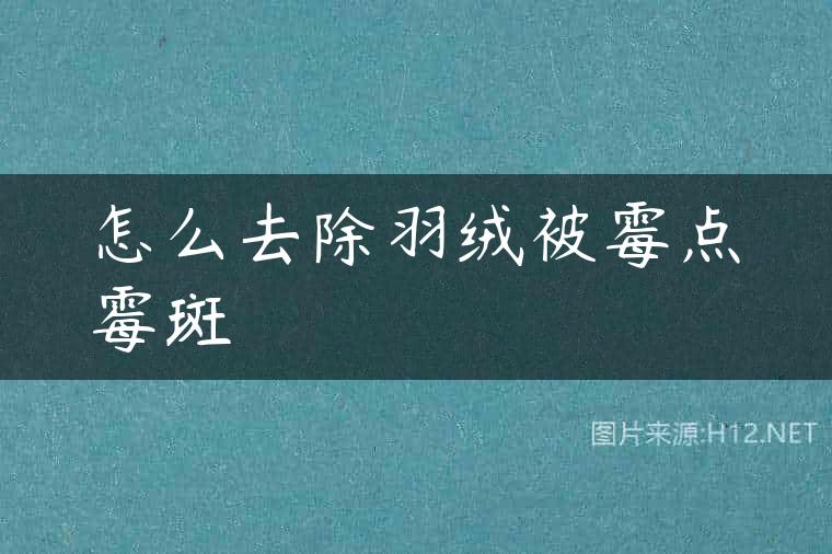 怎么去除羽绒被霉点霉斑